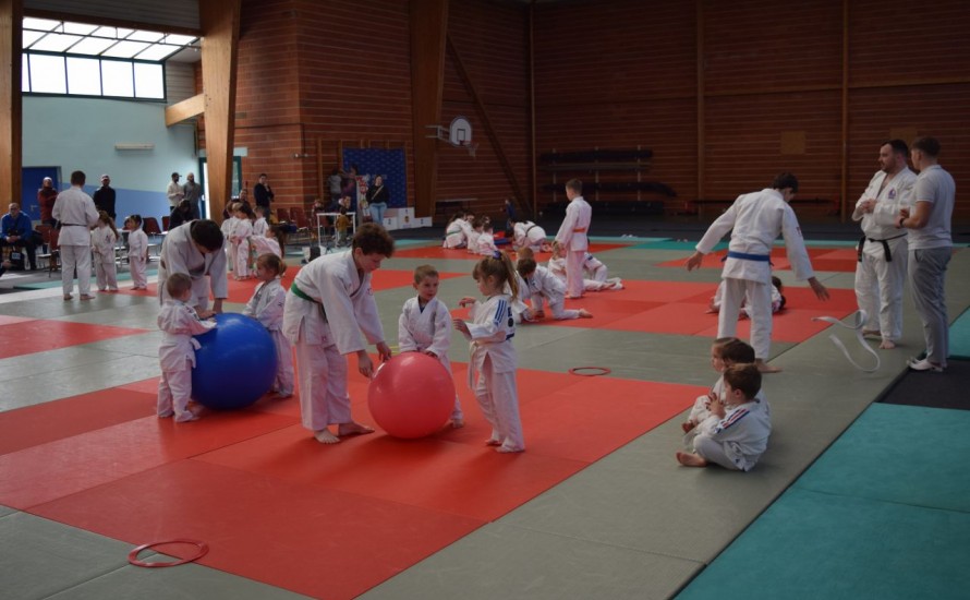 Challenge 2026 de la ville d'Épron : 215 judokas ont participé